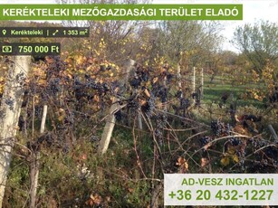 Eladó mezogazdasagi ingatlan Kerékteleki