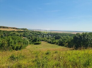 Eladó mezogazdasagi ingatlan Mány, Mányi út