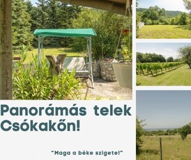 Eladó mezogazdasagi ingatlanCsókakő