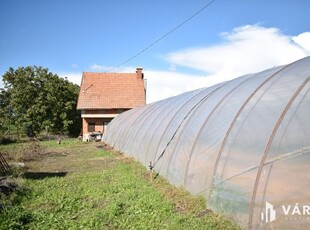 Eladó mezogazdasagi ingatlanGyula