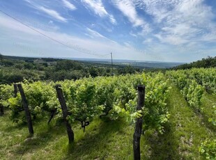 Eladó mezogazdasagi ingatlanVárpalota