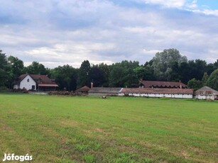 Eladó szálloda, hotel, panzió, lovarda Kecel határában