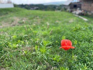 Eladó telek Szada