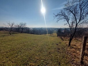 Eladó telek Szomód, 11. dűlő