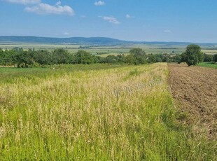 Eladó telek Tök