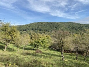 Eladó telek Verőce