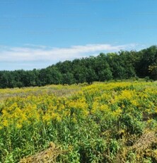 Eladó telekBalatonberény