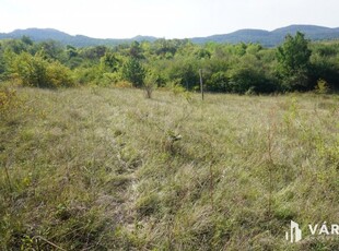 Eladó telekBudakeszi