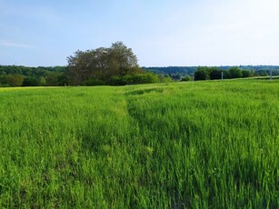 Eladó telekGomba