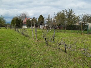 Eladó telekPellérd, Nincs utca