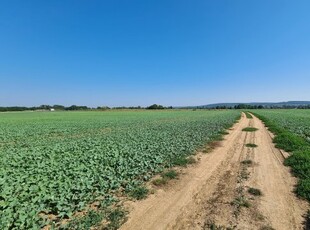 Eladó telekSopron, Varsa utca