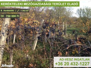 KERÉKTELEKI MEZŐGAZDASÁGI TERÜLET ELADÓ