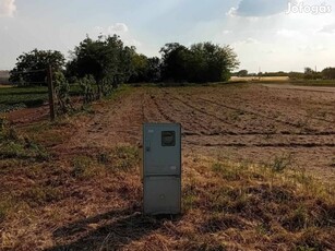 Mórahalom építési telek eladó