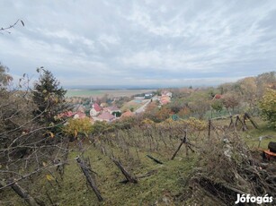 Nagyméretű, panorámás építési telek eladó Ajka Szőlőhegyen