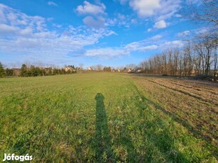 Nyírpazonyban, belterületi, új osztásos építési telkek eladóak!