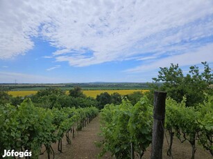 Panorámás zártkert Budapest közelében