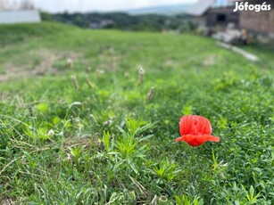 Pazar panoráma a nappaliból