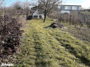 Siófok Törekiben belterületi telek présházzal,pincével eladó.