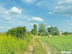 Szentendre, Püspökmajor alatt 10.141 m2-es, külterületi legelő