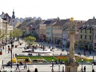 Szombathely, Arborétumhoz Közel, Panorámás Villa Parkosított Telken El