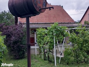 Zsóry üdülőtelepen eladó nyaraló