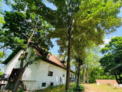 Szentkirály, ingatlan, ház, 800 m2, 38.000.000 Ft