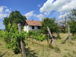 Eladó nyaraló Balatonberény