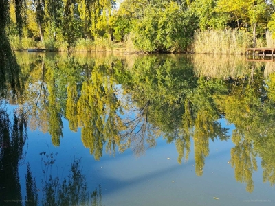 Gyomaendrőd, ingatlan, telek, 8.900.000 Ft