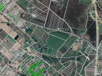 Kiskundorozsma, Szeged, ingatlan, mezőgazd. ingatlan, 39580 m2, 13.900.000 Ft