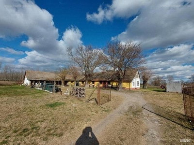 Külterület, Zákányszék, ingatlan, mezőgazd. ingatlan, 250 m2, 49.900.000 Ft