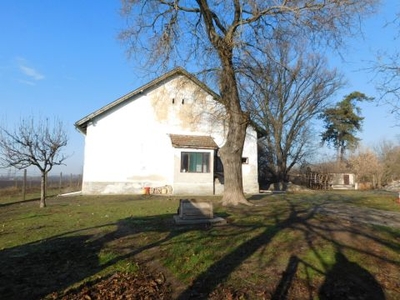 Eladó Ház, Bács-Kiskun megye Kecskemét Családi ház és telephely egy helyen