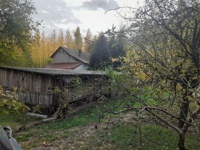 Eladó Ház, Csongrád megye Kistelek