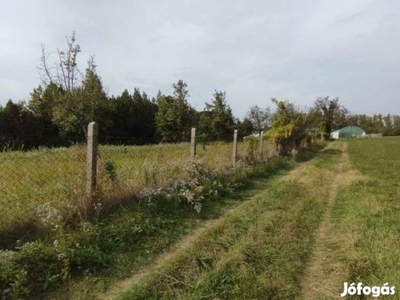 Ráckeve, Bajcsy Zsilinszky út, 1400 m2-es, telek