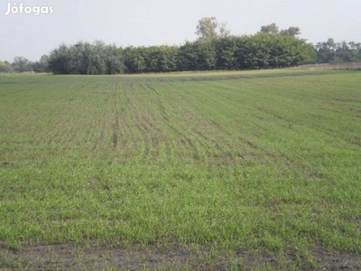 Szántó-legelő földterület mely 2500 m2 szántó területtel rendelkezik