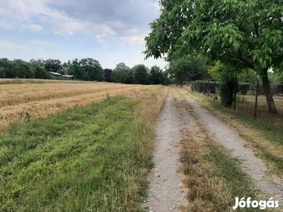 Gárdony külterületén zártkert sürgősen eladó