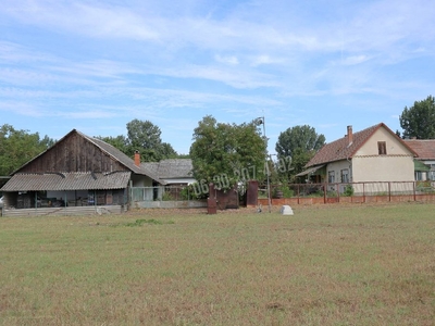 Balástya, ingatlan, mezőgazd. ingatlan, 200 m2, 49.900.000 Ft