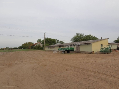 Üllés, ingatlan, mezőgazd. ingatlan, 11000 m2, 14.000.000 Ft