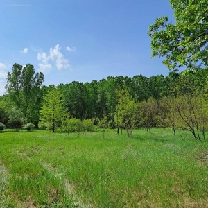 Monor, ingatlan, mezőgazd. ingatlan, 17.900.000 Ft