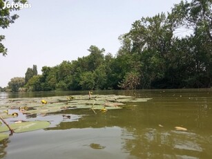 Eladó 50 nm-es Felújítandó Üdülő, nyaraló Szarvas