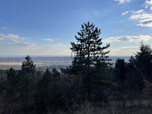 Eladó telek Budaörs, Őzike utca