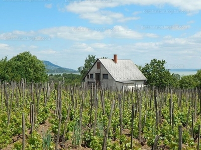 Eladó egyéb telek - Balatongyörök, Becehegy