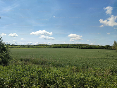 Eladó lakóövezeti telek - Sikátor, Győr-Moson-Sopron megye