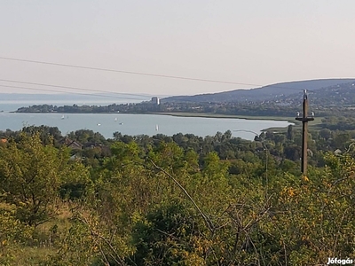 Balatonfűzfő 3666 m2 üdülőövezeti telek eladó!