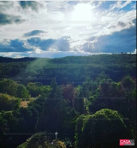 Eladó általános mezőgazdasági ingatlan - Felsőörs, Öreghegy