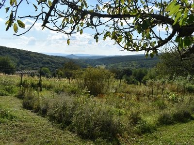 Eladó családi ház - Kapolcs, Veszprém megye