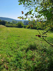 Eladó egyéb telek - Balatonhenye, Szőlőhegy