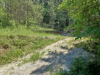 Eladó külterületi telek - Balatonfüred, Koloska utca