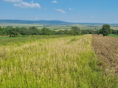 Eladó külterületi telek - Tök, Nyakas