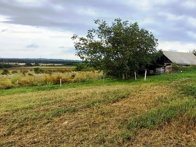 Eladó külterületi telek - Várpalota, Széphegy dűlő