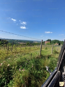 Eladó külterületi telek - Zalaegerszeg, Csácsihegy